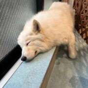 ヒメ日記 2026/04/05 07:58 投稿 なつめ デザインプリズム新宿