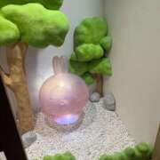 ヒメ日記 2026/04/07 05:29 投稿 なつめ デザインプリズム新宿