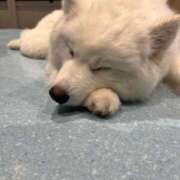 ヒメ日記 2026/06/08 08:09 投稿 なつめ デザインプリズム新宿