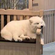 ヒメ日記 2026/07/07 09:09 投稿 なつめ デザインプリズム新宿