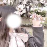 ヒメ日記 2026/04/09 12:12 投稿 雪音　あいす OLセレクション宇都宮店