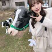 ヒメ日記 2026/04/12 19:34 投稿 ななか 姫コレクション