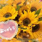 ヒメ日記 2026/08/28 23:11 投稿 星野　とうこ 熟女パラダイス甲府店（カサブランカグループ）