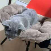 ヒメ日記 2026/03/19 19:23 投稿 はに ハピネス＆ドリーム 松山道後温泉