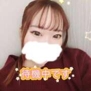 ヒメ日記 2026/03/21 19:39 投稿 ひびき 白いぽっちゃりさん五反田店