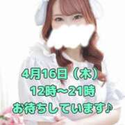 ヒメ日記 2026/04/16 09:39 投稿 ひびき 白いぽっちゃりさん五反田店