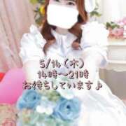 ヒメ日記 2026/05/14 09:29 投稿 ひびき 白いぽっちゃりさん五反田店