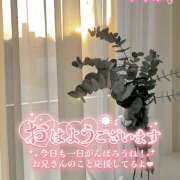 ヒメ日記 2026/05/19 06:35 投稿 佐藤ゆうか 五十路マダム 田辺店