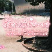 ヒメ日記 2026/05/29 10:13 投稿 佐藤ゆうか 五十路マダム 田辺店
