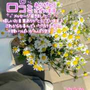 ヒメ日記 2026/07/26 09:11 投稿 佐藤ゆうか 五十路マダム 田辺店