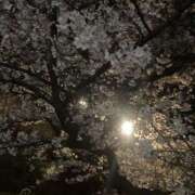 ヒメ日記 2026/04/01 14:57 投稿 もこ プロフィール 京都店