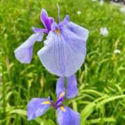 ヒメ日記 2026/06/18 07:57 投稿 なな ごほうびSPA福岡店