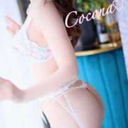 華咲　ここな はじめまして💕 川崎南町人妻高級ソープ エル・カーヒル(ELCURHIL)秘密の刻