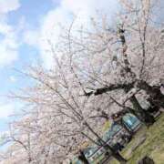 ヒメ日記 2026/04/03 12:26 投稿 りか 熟女総本店