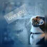 ヒメ日記 2026/03/31 15:54 投稿 町田えま ウフフな40。ムフフな50。。（横浜ハレ系）