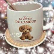 ヒメ日記 2026/04/10 02:56 投稿 あいり One More奥様　町田相模原店