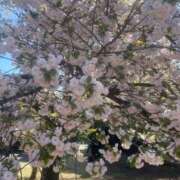 ヒメ日記 2026/04/09 09:52 投稿 るか Polaris（ポラリス）