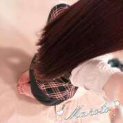 ヒメ日記 2026/04/29 11:15 投稿 まこと セグレターリオ