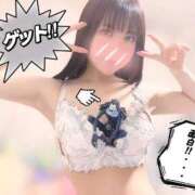ヒメ日記 2026/05/17 16:11 投稿 まこと セグレターリオ