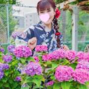 ヒメ日記 2026/06/19 13:15 投稿 まこと セグレターリオ