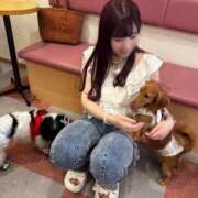 ヒメ日記 2026/07/21 15:00 投稿 まこと セグレターリオ