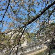 ヒメ日記 2026/04/09 18:33 投稿 まこ 池袋人妻城