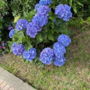 ヒメ日記 2026/06/16 10:03 投稿 まこ 池袋人妻城