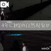 ヒメ日記 2026/05/26 19:16 投稿 かの 妖精（ようせい）