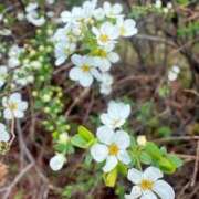 ヒメ日記 2026/04/06 15:04 投稿 あん CLUB DEEP