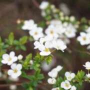 ヒメ日記 2026/04/17 18:24 投稿 あん CLUB DEEP