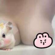 ヒメ日記 2026/03/30 00:21 投稿 神田ちよ 渋谷ミルク