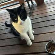 ヒメ日記 2026/03/16 22:36 投稿 ほしなあお イクイクサークル鶯谷店