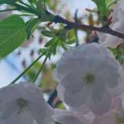 ヒメ日記 2026/04/05 20:29 投稿 ミレン AMOUR（アムール）