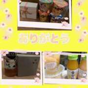 ヒメ日記 2026/04/09 06:07 投稿 めぐ CECIL