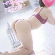 ヒメ日記 2026/04/22 07:30 投稿 めぐ CECIL