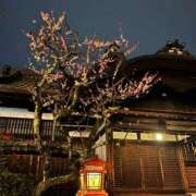 ヒメ日記 2026/03/30 15:50 投稿 水嶋　ねる NADIA大阪店