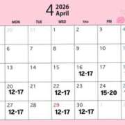 ヒメ日記 2026/04/11 00:39 投稿 透花(とうか) ルピナス