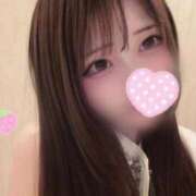 ヒメ日記 2026/04/29 12:04 投稿 透花(とうか) ルピナス