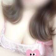 ヒメ日記 2026/04/03 12:42 投稿 ありす 奈良市ちゃんこ