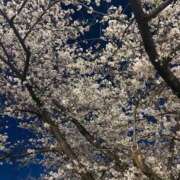 ヒメ日記 2026/04/05 22:10 投稿 ひなた マダム錦糸町