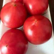 ヒメ日記 2026/04/11 13:20 投稿 ひなた マダム錦糸町