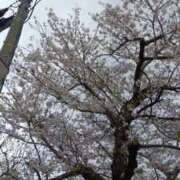 ヒメ日記 2026/03/31 09:11 投稿 しいな♪ プリティーガール