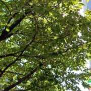 ヒメ日記 2026/06/01 08:48 投稿 しいな♪ プリティーガール