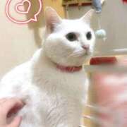 ヒメ日記 2026/04/19 22:10 投稿 なぎさ イキなり生彼女from大宮