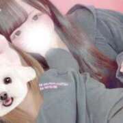 ヒメ日記 2026/04/04 00:25 投稿 むく ジャパンクラブ富士