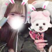 むく 🍒【本日】19時から🌟 ジャパンクラブ富士