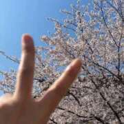 ヒメ日記 2026/04/03 10:04 投稿 りんご いざ候 別館