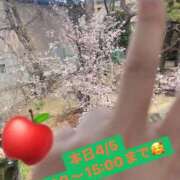 ヒメ日記 2026/04/05 10:20 投稿 りんご いざ候 別館