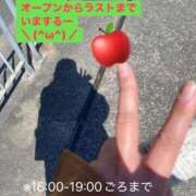 ヒメ日記 2026/04/08 10:14 投稿 りんご いざ候 別館