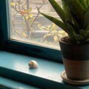 ヒメ日記 2026/04/29 15:34 投稿 りんご いざ候 別館